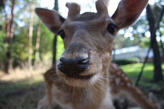 Haus Natur und Umwelt