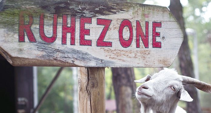 Fotowettbewerb_2013_HNU-Berlin